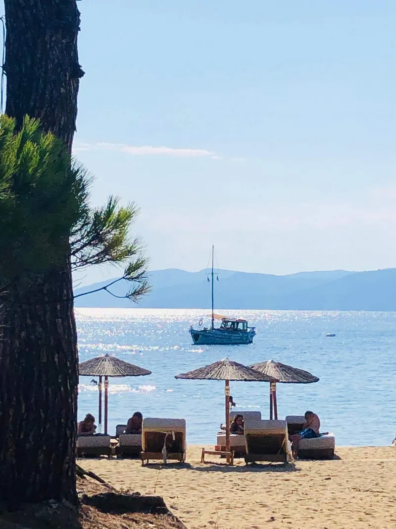 Η Αρτέμιδα από την παραλία, μέσα από τα πεύκα